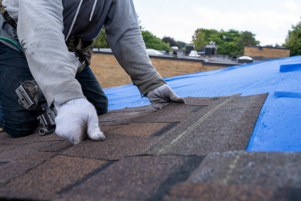 Fast & Reliable Emergency Roof Repairs in Cascade, ID